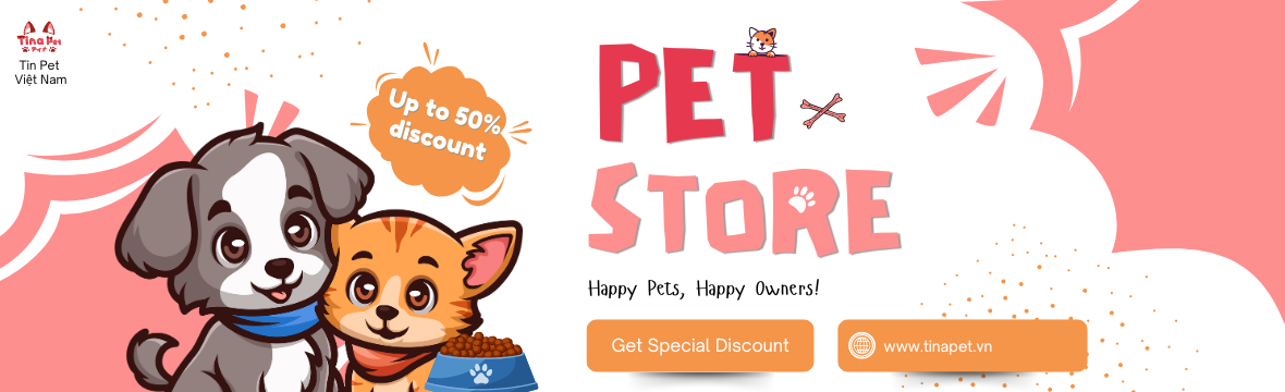 Home Page Banner