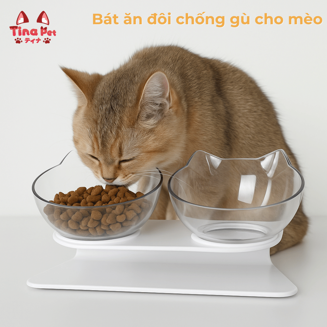 Bát ăn chống gù đôi cho mèo TINA PET