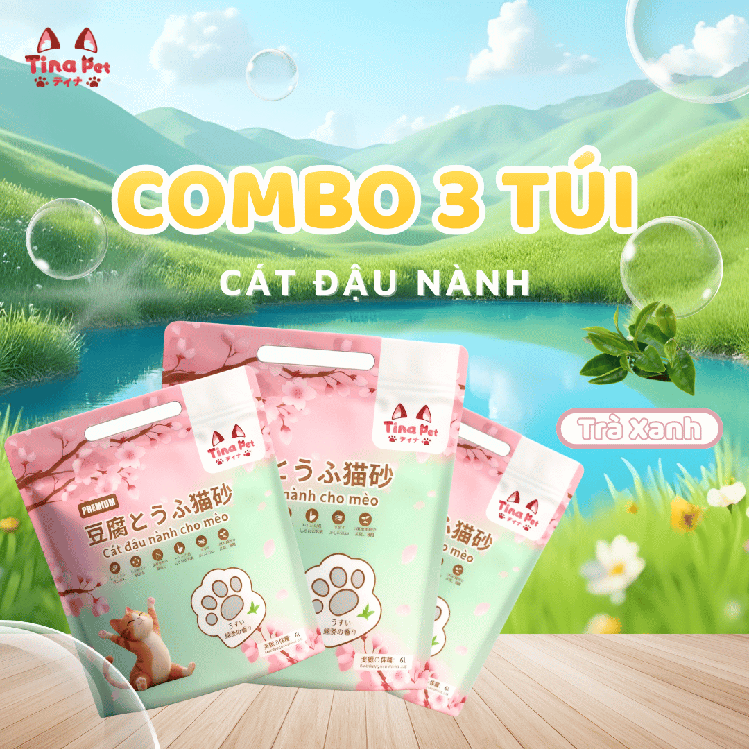 COMBO 3 Cát đậu nành cao cấp TINA PET 6L- 2kg | Mùi trà xanh, hữu cơ tự nhiên