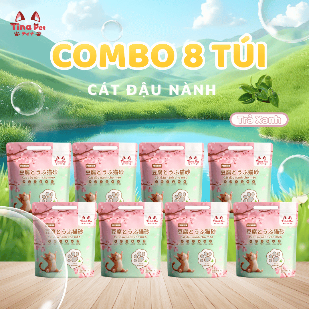 COMBO 8 Cát đậu nành cao cấp TINA PET 6L- 2kg | Mùi trà xanh, hữu cơ tự nhiên