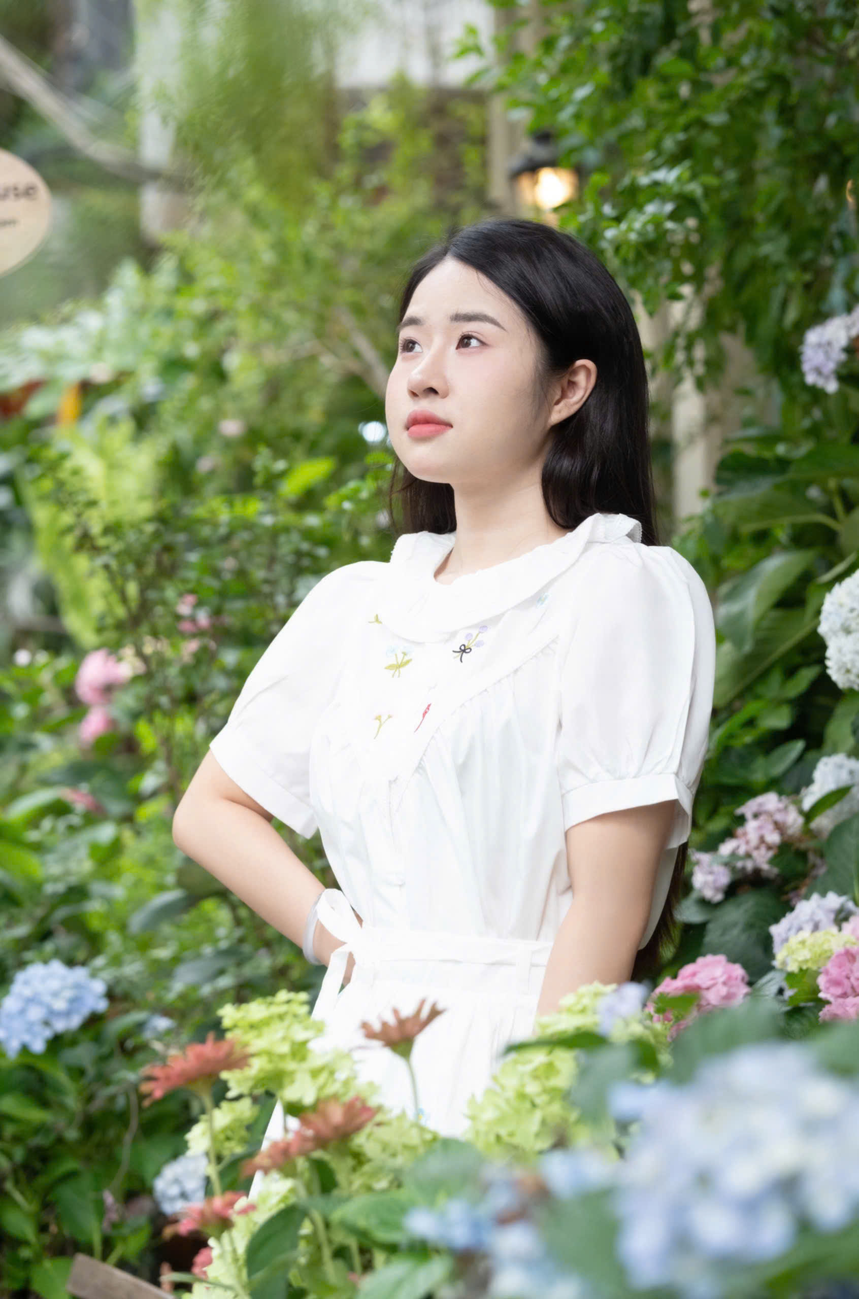 Vườn hoa thu nhỏ giữa lòng thành Hà Nội    25.07.2025