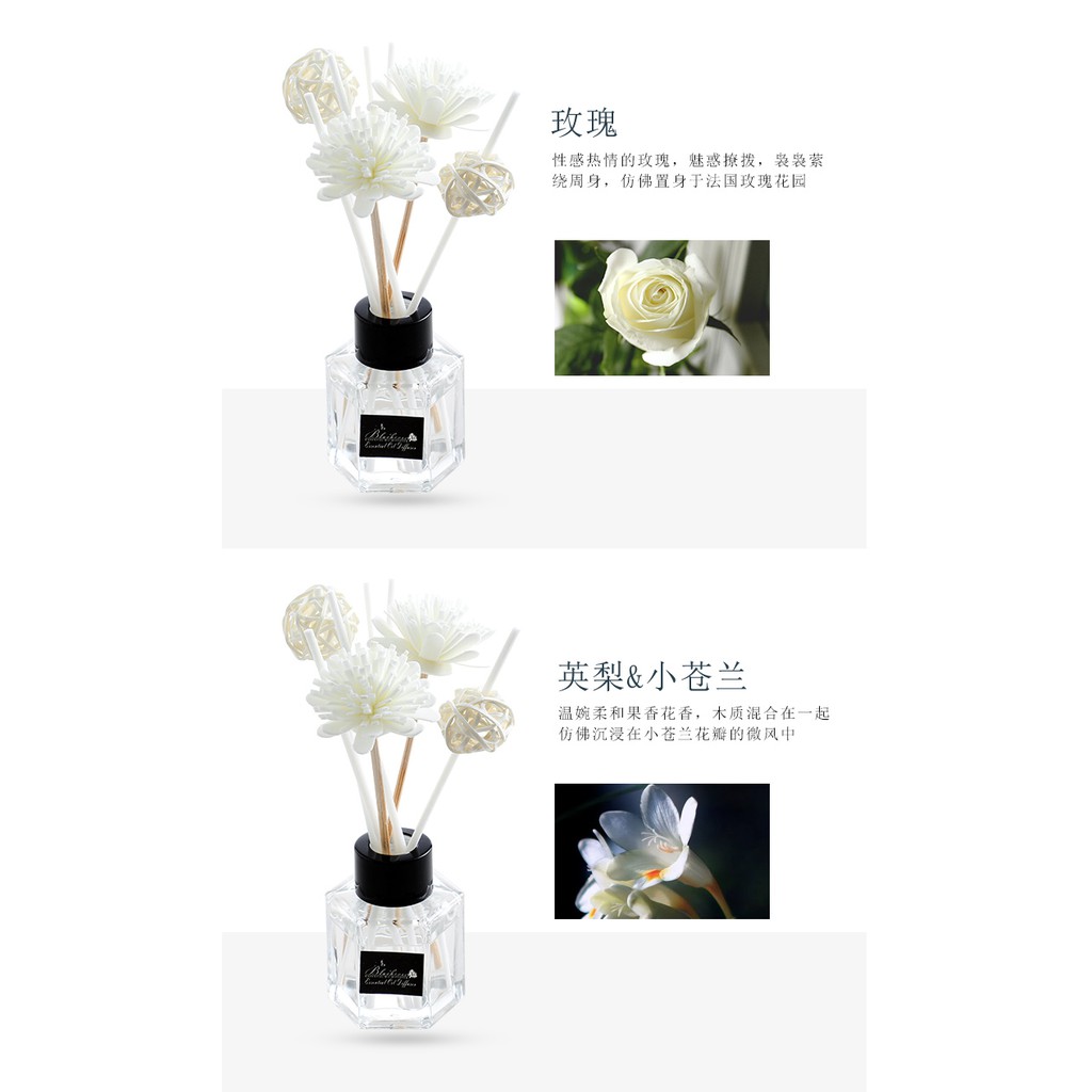 Tinh Dầu Nước Hoa Để Phòng Mẫu Mới Hotel Series 50ml(Vỏ Đen)