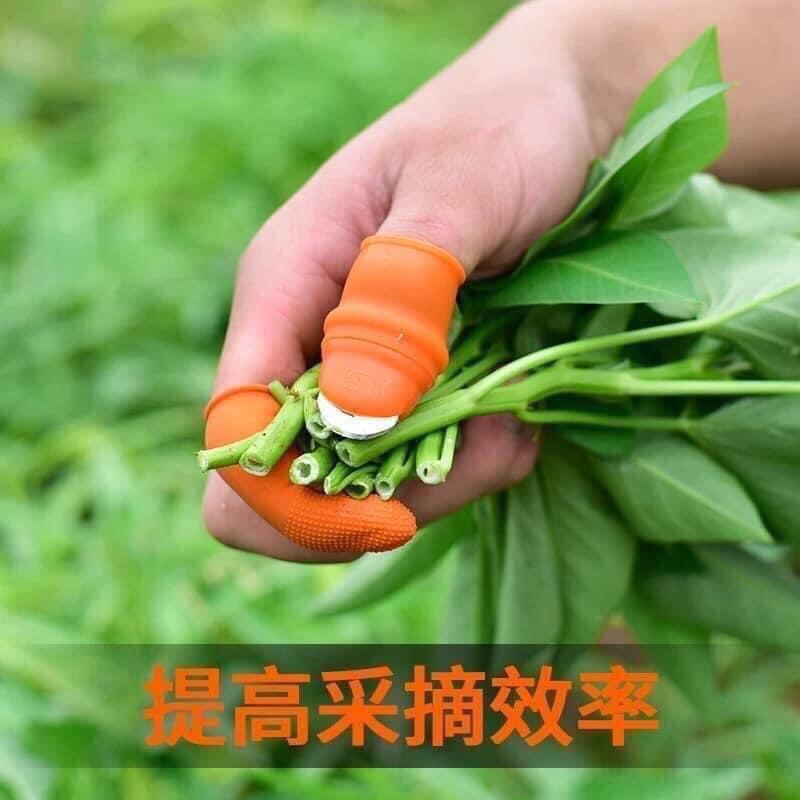 Găng Tay Nhặt Rau - Găng Ngón Tay Ngắt Rau Củ - Ngón Tay Thép Nhặt Rau Củ Quả Trái Cây - 1 set