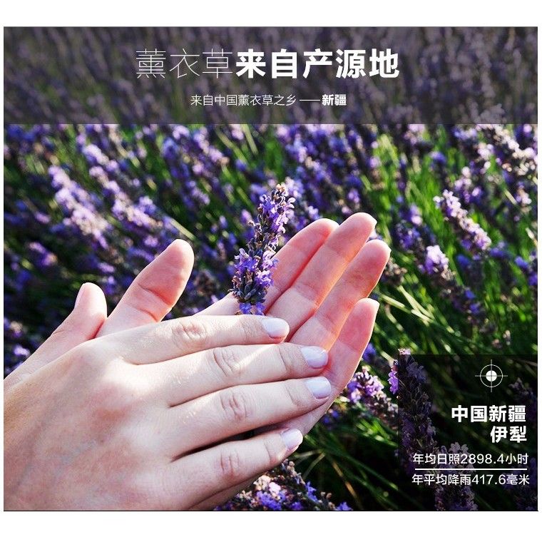 Túi Thơm Hoa Oải Hương Lavender - Túi Thơm LAVENDER