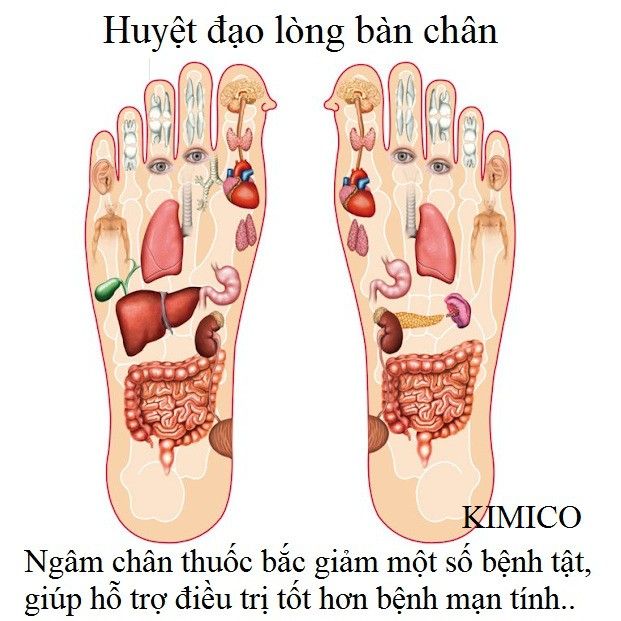 Hộp 50 Miếng Dán Chân Ngải Cứu Thải Độc Lão Bắc Kinh - Miếng Dán Ngải Cứu Thải Độc Chân - Hộp 50 Miếng - Hộp 50m Màu Đỏ