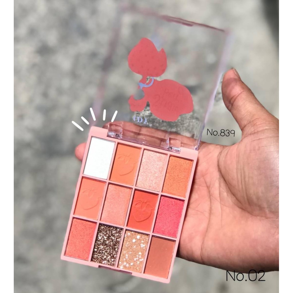 Phấn Mắt 12 Ô Dâu Tây ANYLADY STRAWBERRY Mã 839 - ANYLADY 839