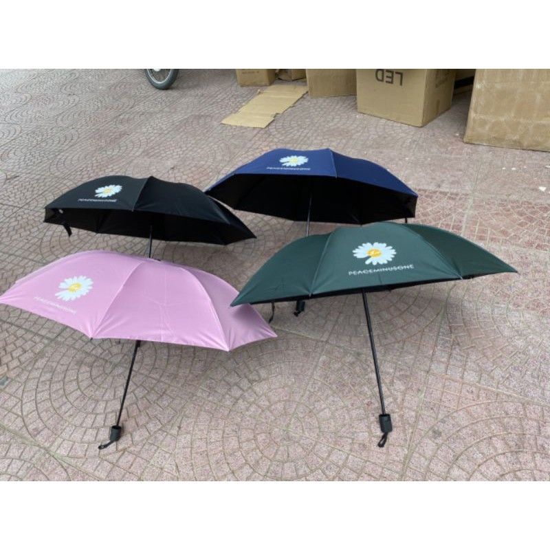 Ô Dù Hoa Cúc Hot Trend 3 Lớp Chống Tia UV - Ô HOA CÚC GẤP GỌN GIAO MÀU NGẪU NHIÊN - Ô HOA CÚC GẤP GỌN