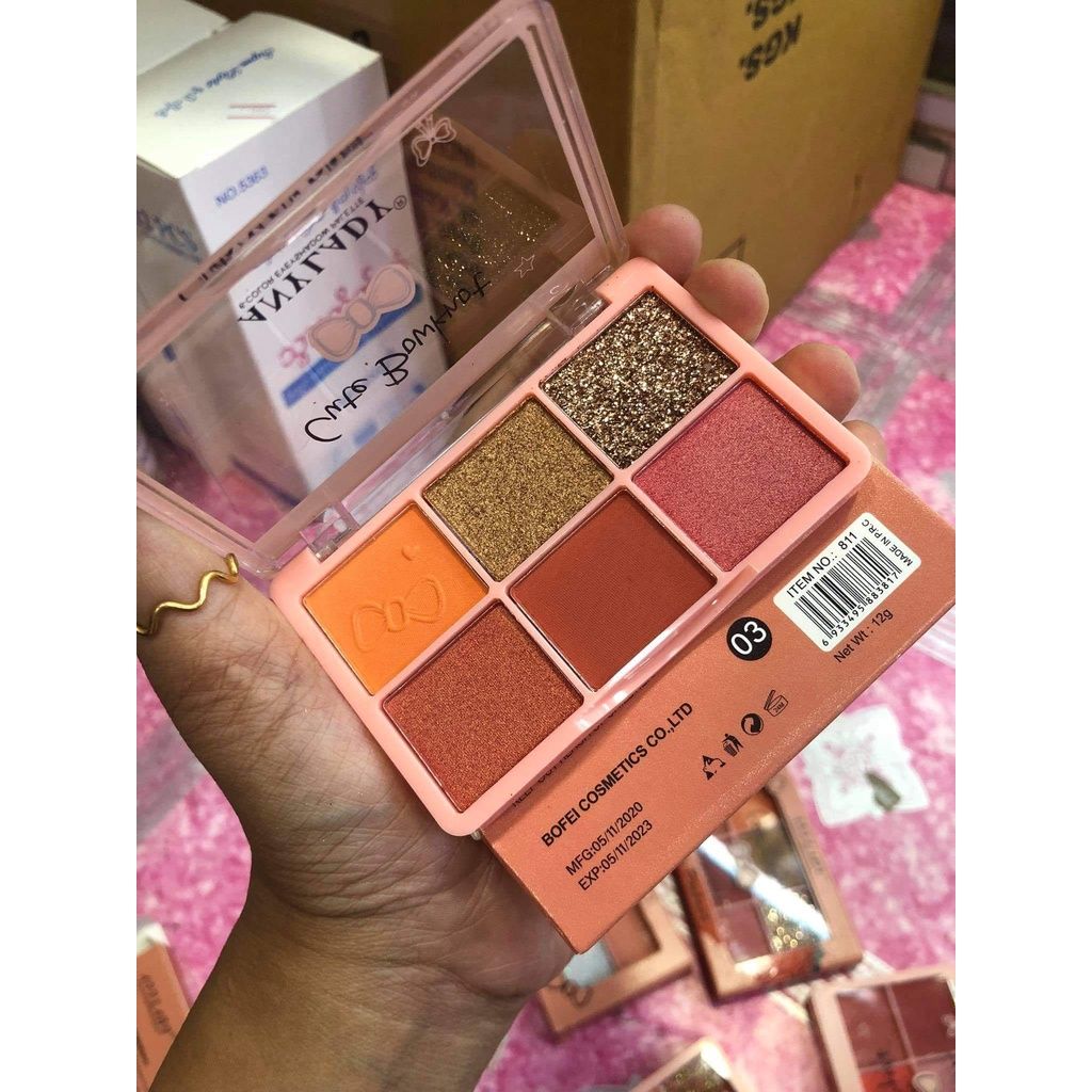 Phấn Mắt 6 Ô Nhũ Lì ANYLADY NO.811