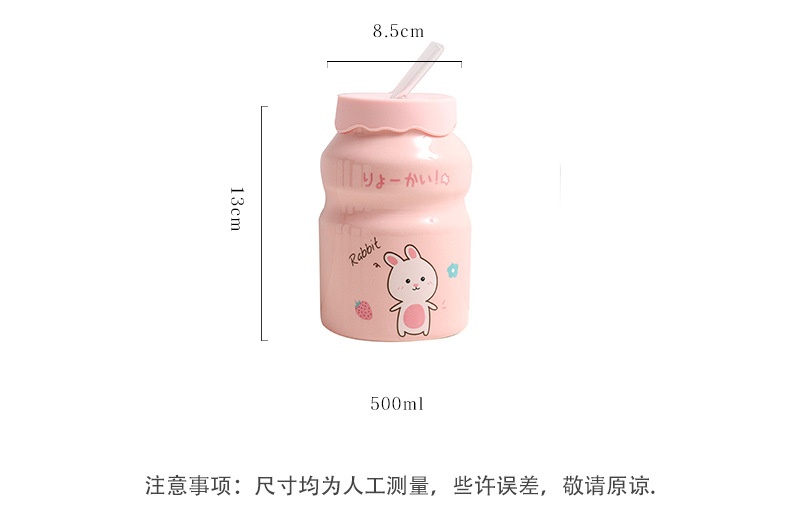 Cốc Sứ Cute 400ml Kèm Ống Hút Thủy Tinh