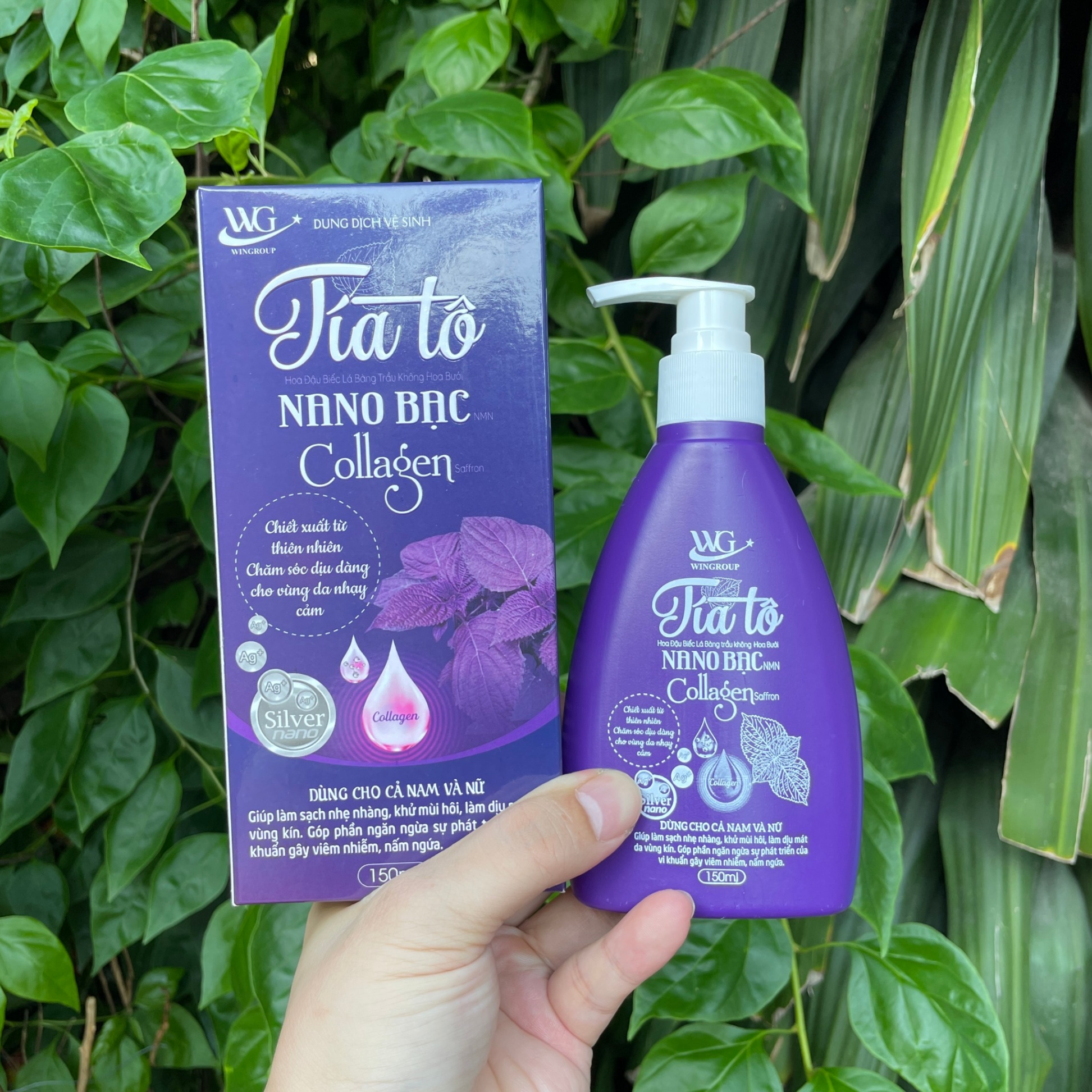 Dung Dịch Vệ Sinh Tía Tô Nano Bạc Collagen 150ml ( Chai Dẹp Tím )