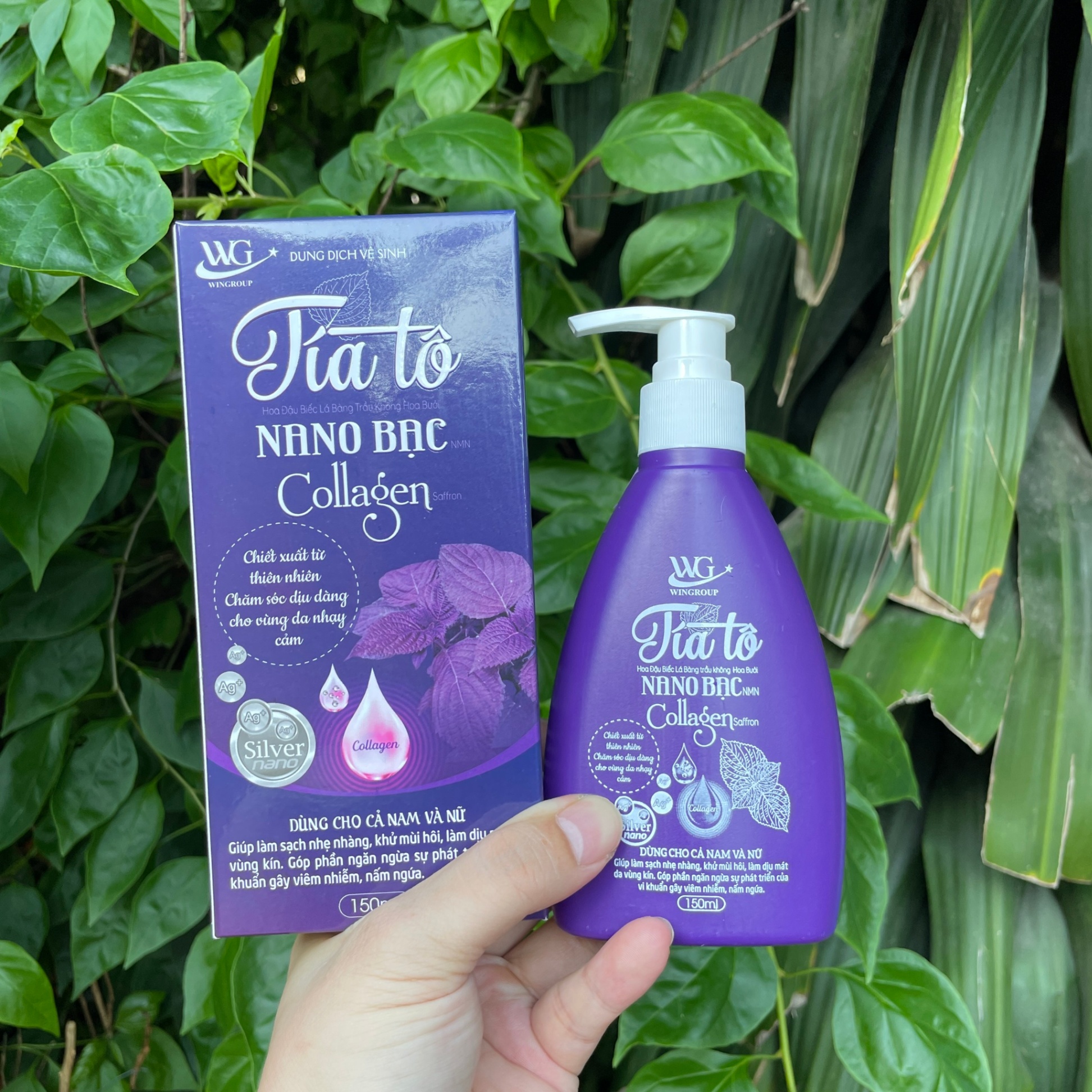 Dung Dịch Vệ Sinh Tía Tô Nano Bạc Collagen 150ml ( Chai Dẹp Tím )