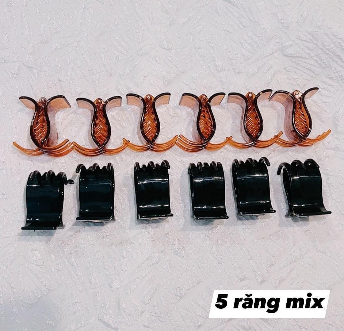 Vỉ 12 Kẹp Tóc Càng Cua 5 Răng Loại To (Cánh Vuông/6 Đen 6 Nâu)