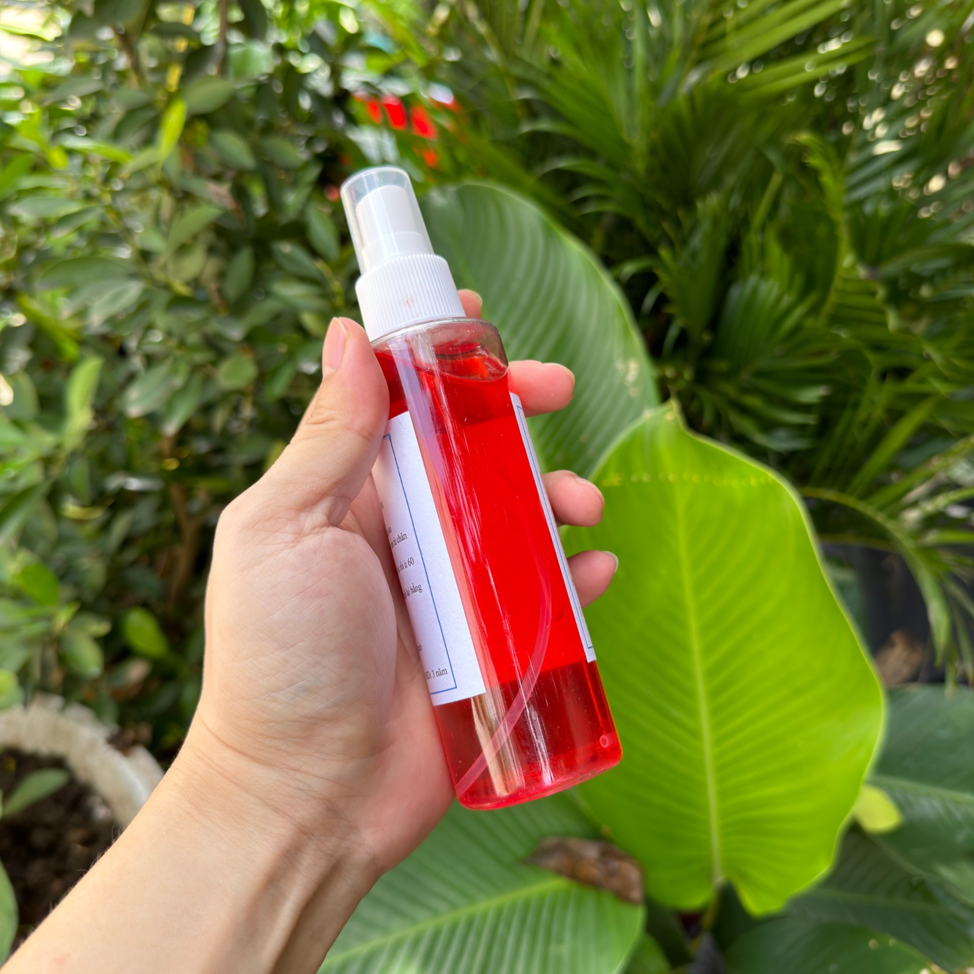 Ủ Chấy Diệt Chấy Gia Truyền Hàng Việt Nam