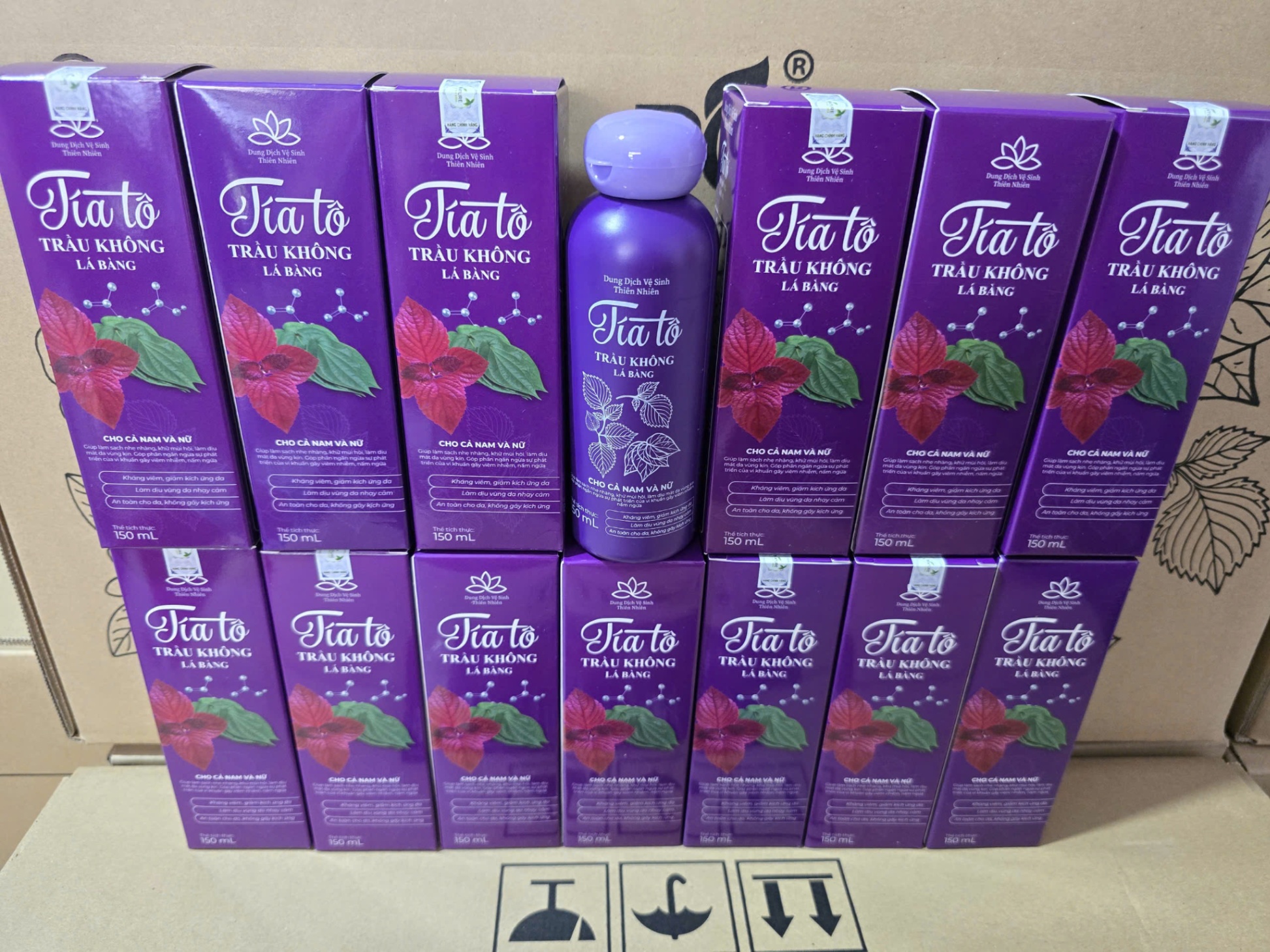 Dung Dịch Vệ Sinh Phụ Nữ Tía Tô Trầu Không Lá Bàng 150ml MV921108 - TÍA TÔ MV921108 / THÙNG 120