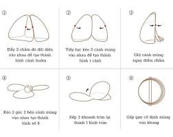 Màn Tròn Tự Bung 1m6