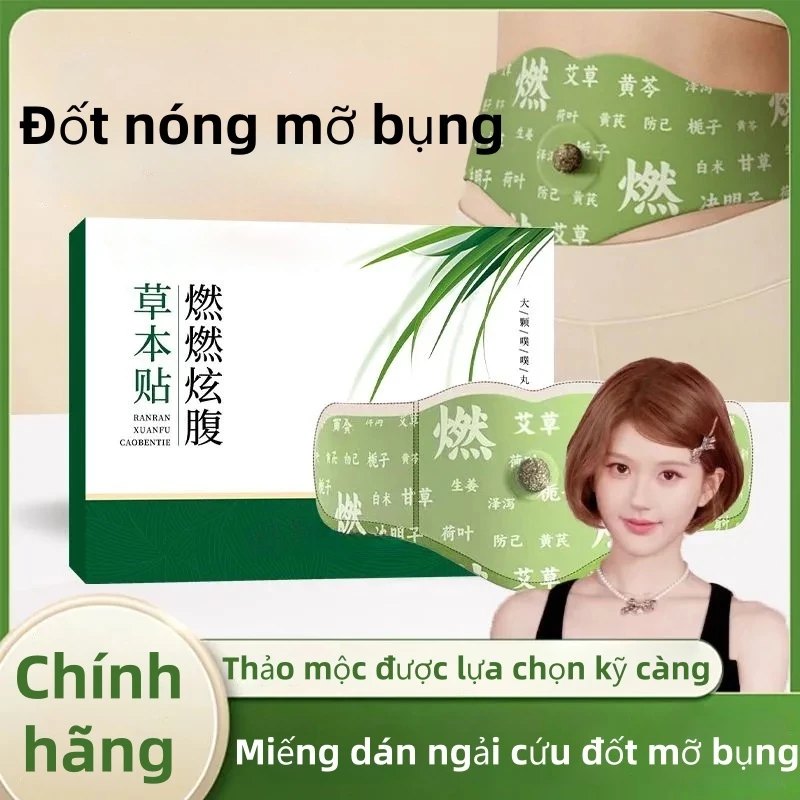 Hộp 5 Miếng Dán Ngải Cứu Tan Mỡ Bụng TRIỆU LỘ TƯ (Có Kèm 5 Viên Cao)