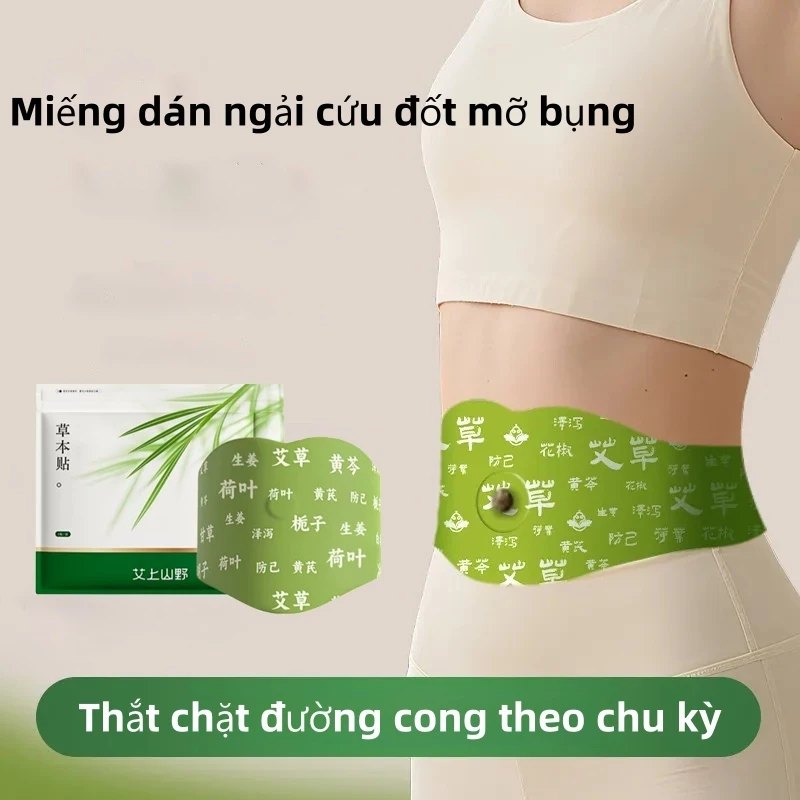 Hộp 5 Miếng Dán Ngải Cứu Tan Mỡ Bụng TRIỆU LỘ TƯ (Có Kèm 5 Viên Cao)