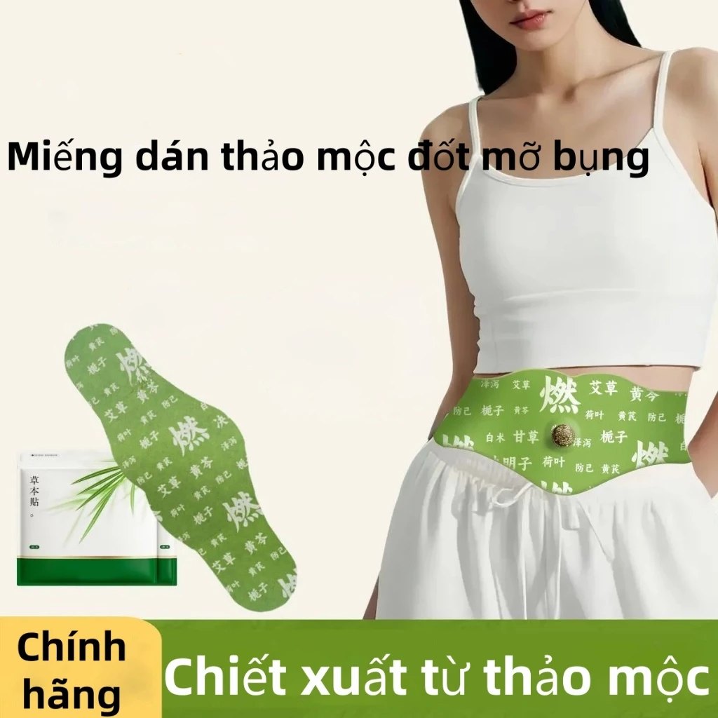 Hộp 5 Miếng Dán Ngải Cứu Tan Mỡ Bụng TRIỆU LỘ TƯ (Có Kèm 5 Viên Cao)