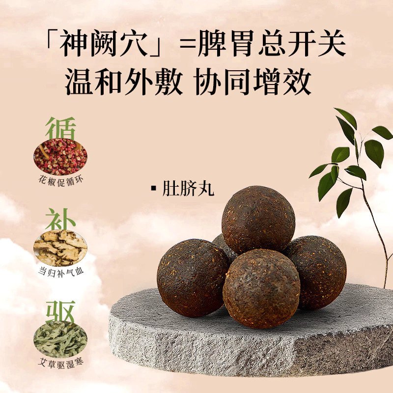Hộp 5 Miếng Dán Ngải Cứu Tan Mỡ Bụng TRIỆU LỘ TƯ (Có Kèm 5 Viên Cao)