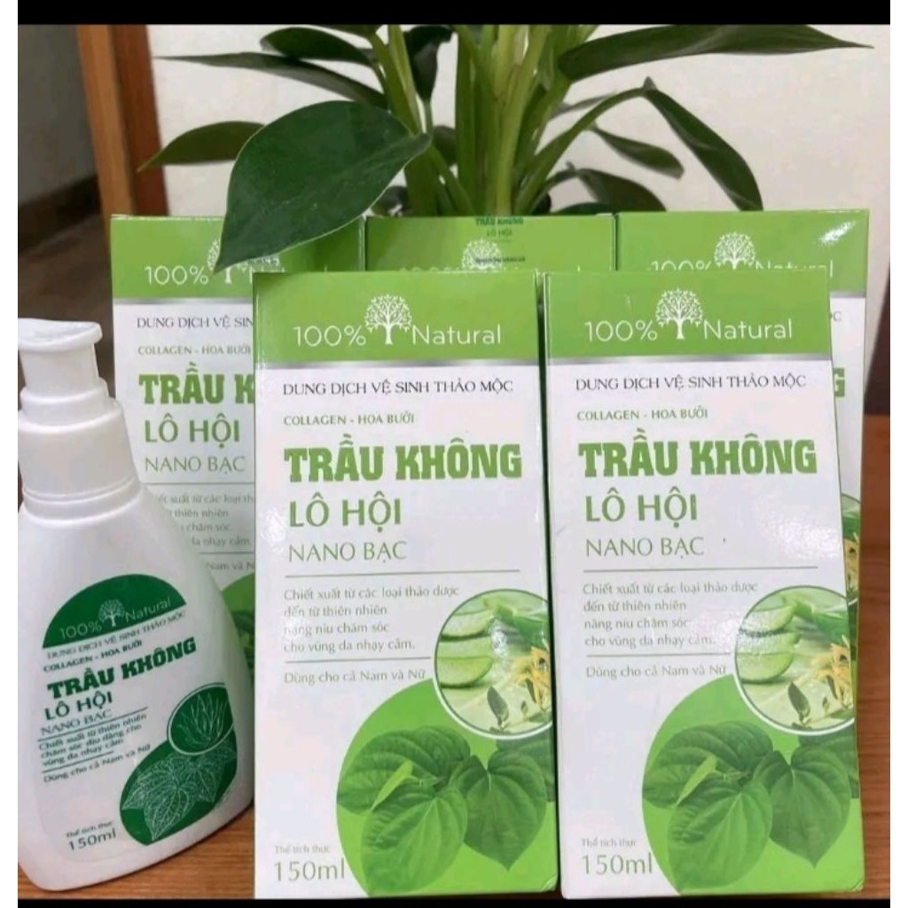 Dung Dịch Vệ Sinh Phụ Nữ Tía Tô Trầu Không Lô Hội 150ml MV999074 - DDVS MV999074 LÔ HỘI