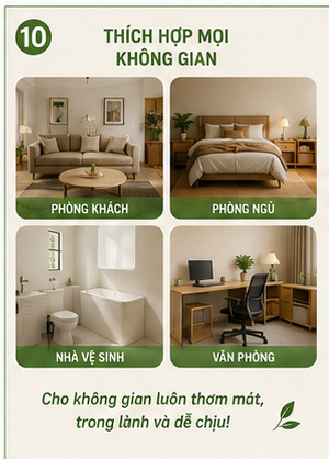 Tinh Dầu Sả Chanh Xịt Phòng