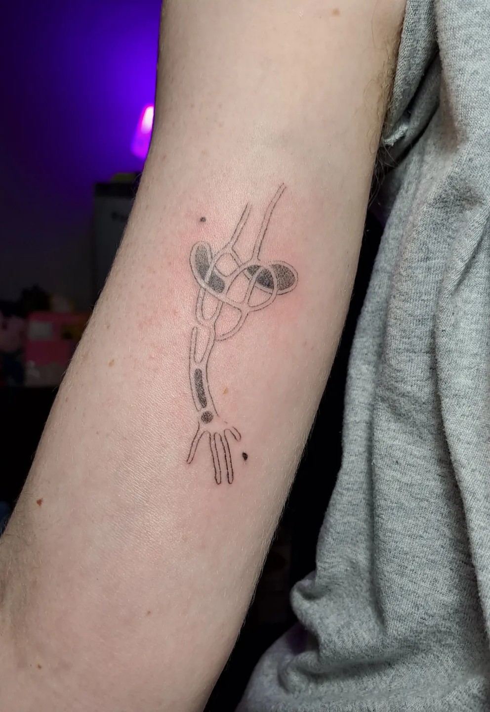My Hand See