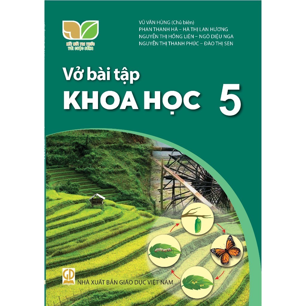 vn-11134207-7r98o-lzbrqlbmobbh4e.jpg