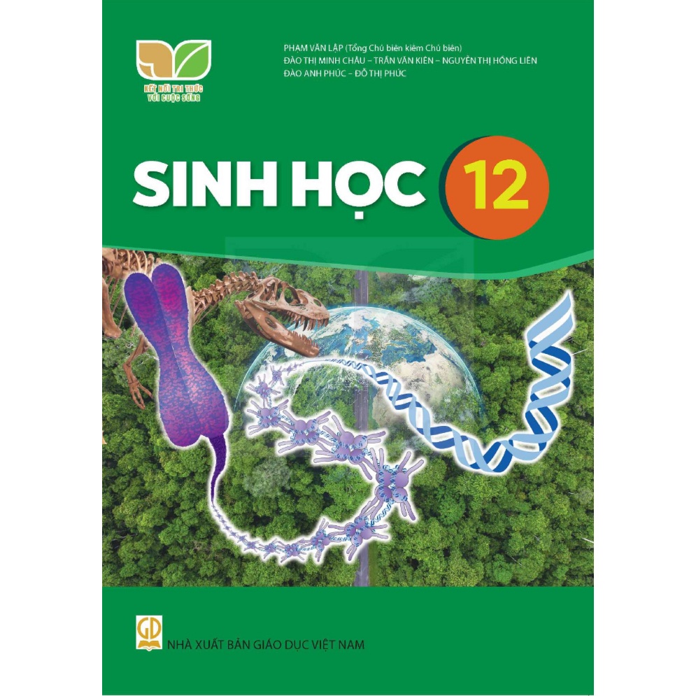 vn-11134207-7r98o-lxe4n4lum1g924.jpg