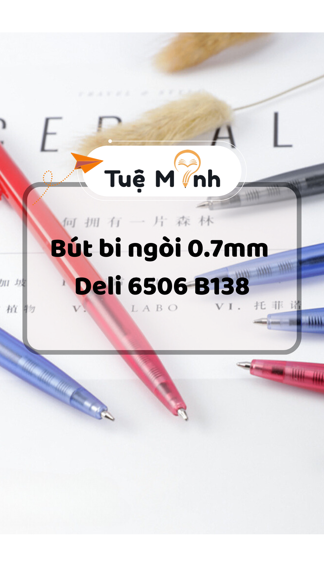 Bút bi ngòi 0.7mm Deli 6506 B138