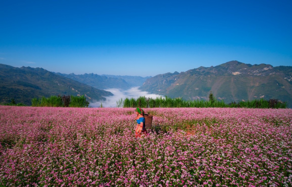 HANOI–SAPA–HALONG BAY 6D5N