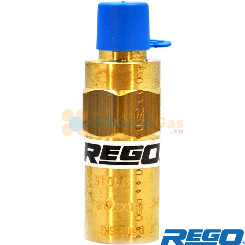 Rego PRV9433 - Van An Toàn Khí Công Nghiệp