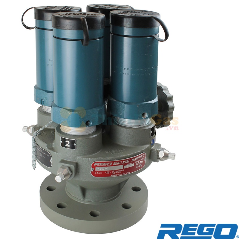 Rego A8573AG Multiport - Van An Toàn Đa Van (Manifold Valve) Khí NH3