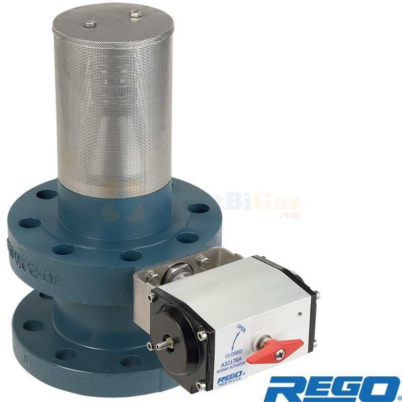 Rego A3217DAL510 - Van Trong Nối 2 Mặt Bích Cho Xe Bồn, Bình Chứa Lớn Khí NH3