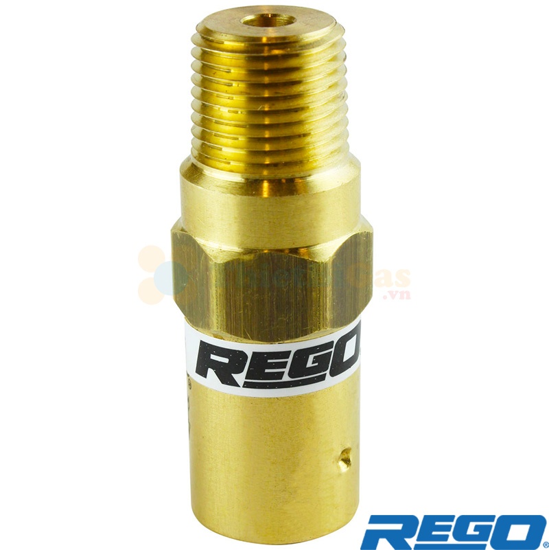 Rego PRV19534KP0850 - Van An Toàn Hệ Cao Áp, Chịu Lạnh Cryogenic Khí Công Nghiệp