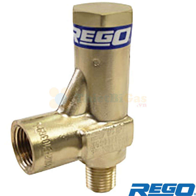 Rego NG9002T022 - Van An Toàn Góc Phải, Chịu Lạnh Cryogenic Khí Công Nghiệp