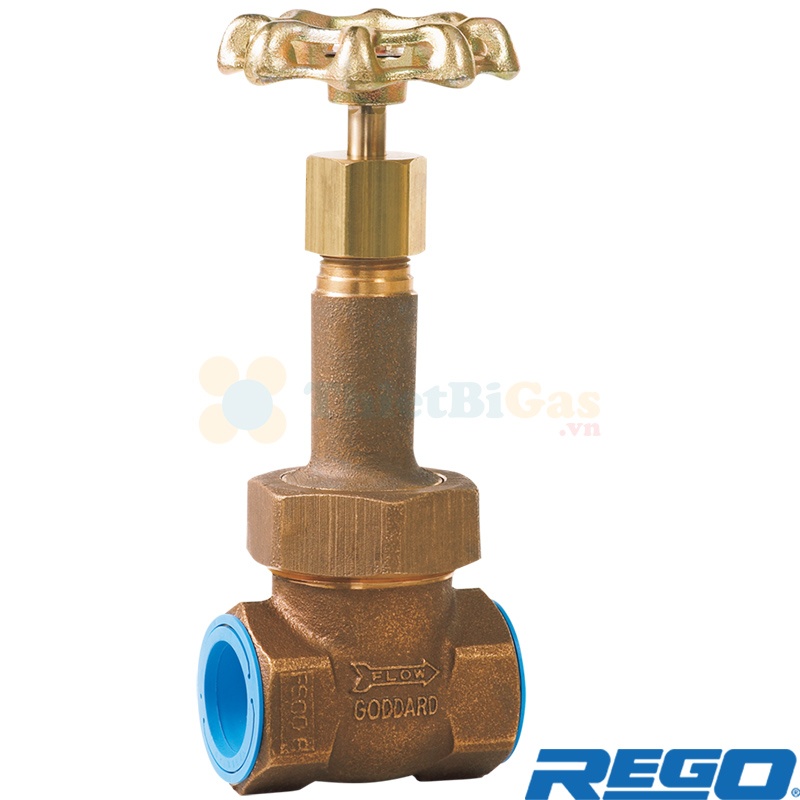 Rego B-310X-24T - Van Cổng Chịu Lạnh Cryogenic Khí Công Nghiệp