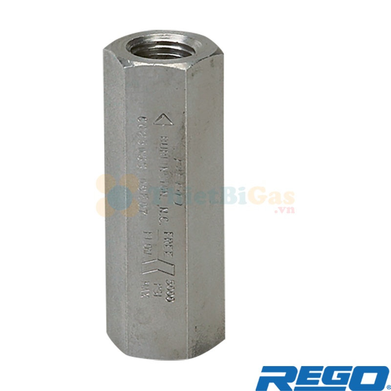 Rego CG375SS - Van Một Chiều Chịu Lạnh Cryogenic Khí Công Nghiệp