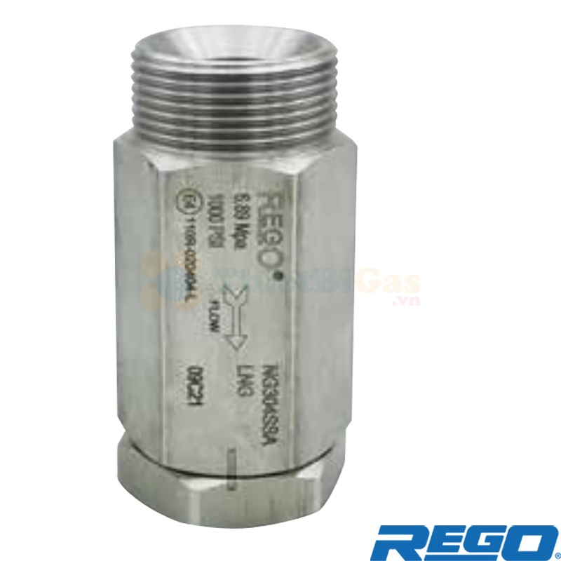 Rego NG304SSA - Van Một Chiều Chịu Lạnh Cryogenic Khí Công Nghiệp