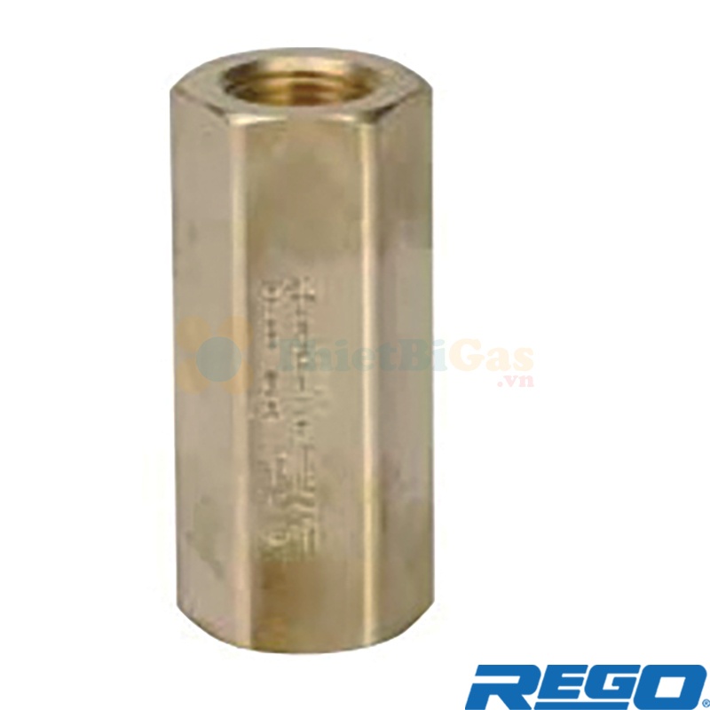 Rego CG750BL - Van Một Chiều Chịu Lạnh Cryogenic Khí Công Nghiệp