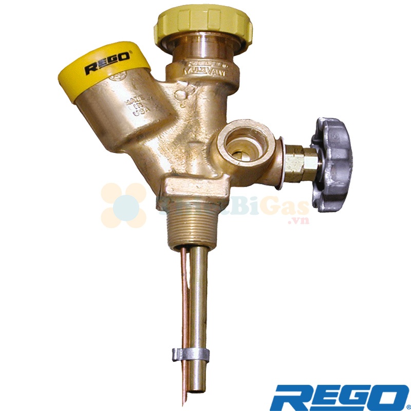 Rego 6533R11.7 - Bộ Đa Van (Multivalve) Khí LPG