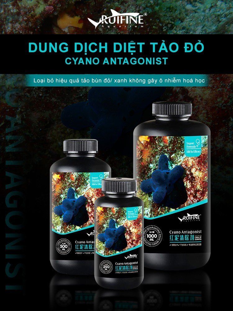 Dung dịch diệt tảo đỏ - Cyano Antagonist 500ml