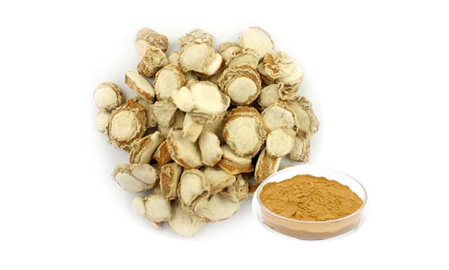 Củ địa liền thái lát khô thường dùng để ngâm rượu hoặc sắc nước uống