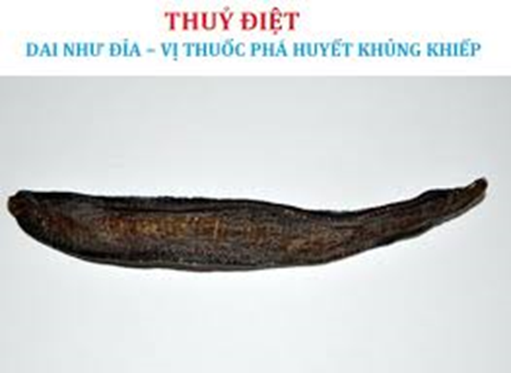XIT-XOA-BOP-COT-PHONG-KINH-BAI-PHUONG-DONG-Y-HIEN-DAI-THICH-UNG-KHI-HAU-MIEN-BAC-5.png