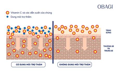 XIT-XOA-BOP-COT-PHONG-KINH-BAI-PHUONG-DONG-Y-HIEN-DAI-THICH-UNG-KHI-HAU-MIEN-BAC.jpg