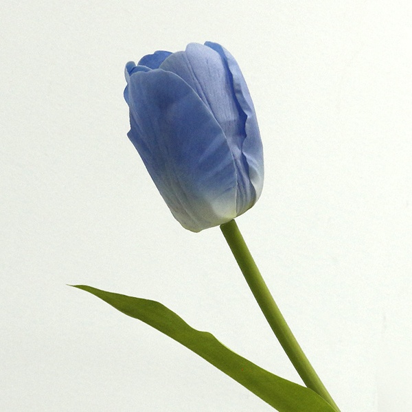 Hoa tulip Y017-35cm