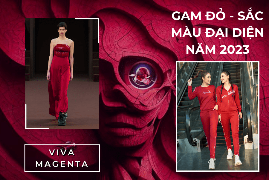 GAM ĐỎ - SẮC MÀU ĐẠI DIỆN NĂM 2023