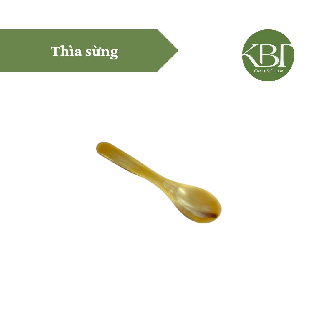 Thìa sừng