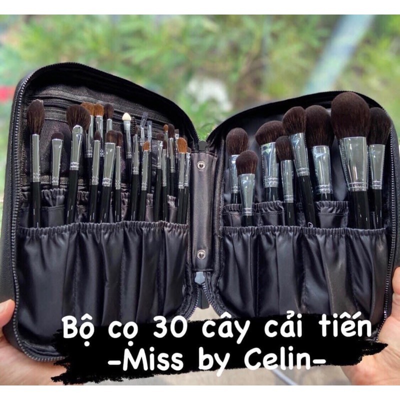 Bộ cọ Celin 30 cây