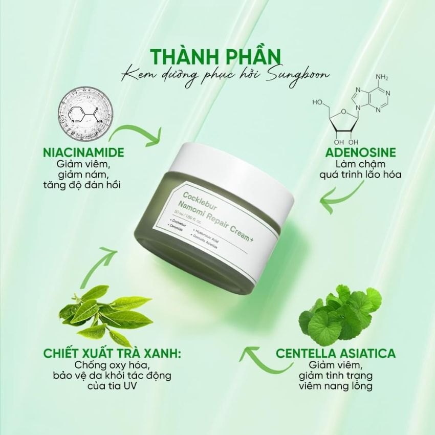 KEM PHỤC HỒI SUNGBOON COCKLEBUR NAMOMI REPAIR CREAM PLUS 50ml