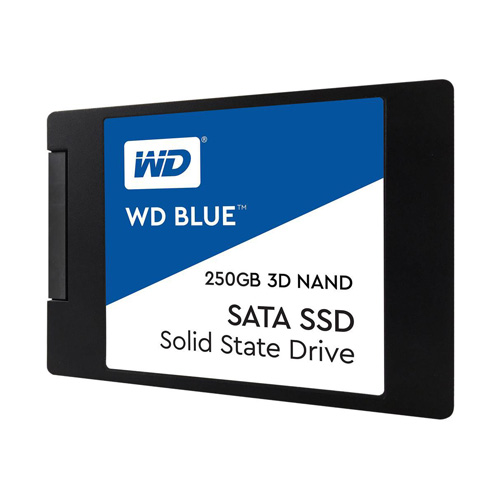 O Cung SSD WD 250GB WDS250G2B0A